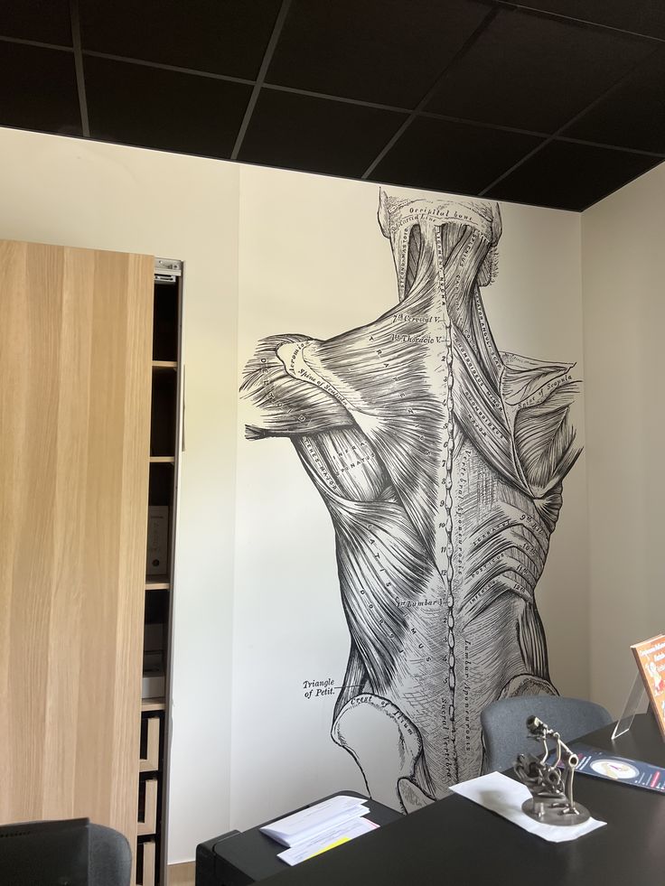 Cabinet du praticien avec fresque anatomique